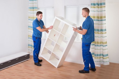 Moving boxes and household items with a local removal van